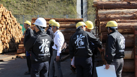 原木は仕分けられたあと、外気に１週間から2週間馴染ませてから加工工程へと入ります。