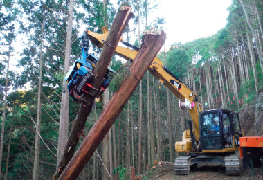 切り出し場見学6