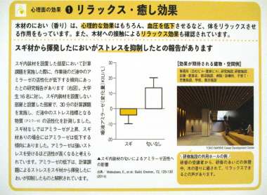 高知おおとよ製材様を訪問