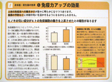 高知おおとよ製材様を訪問