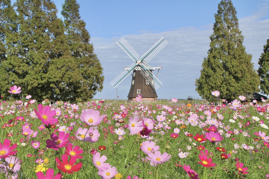 あけぼの山農業公園