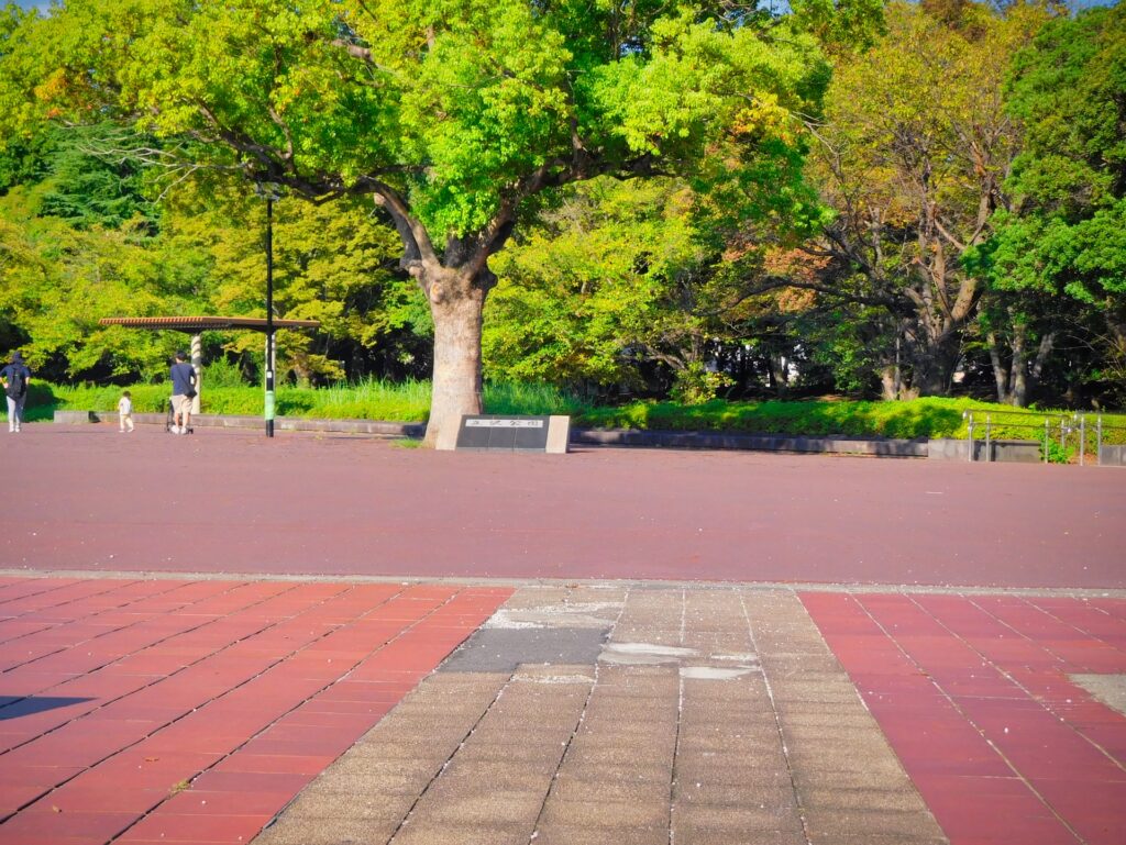 立沢公園