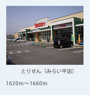 とりせん(みらい平店)