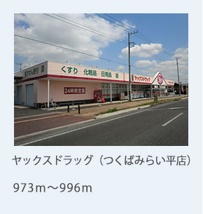 ヤックスドラッグ(つくばみらい平店)